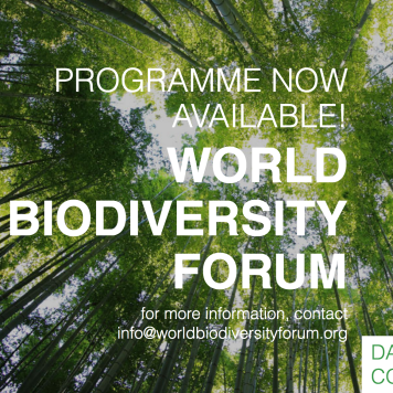 https://www.worldbiodiversityforum.org/en/sessions