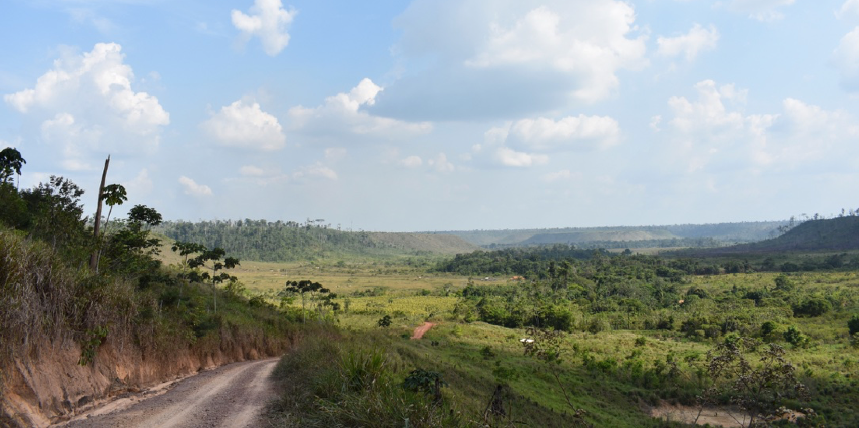 Enlarged view: Amazon landscape