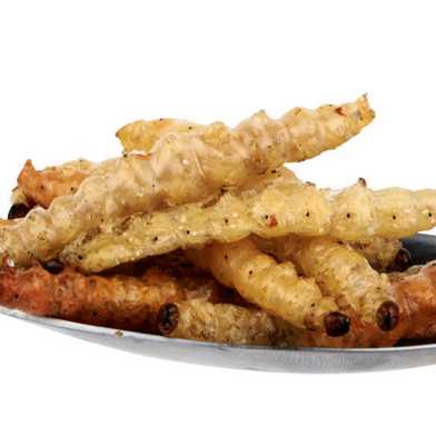 mealworms