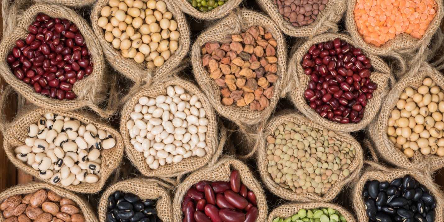 legumes and grains