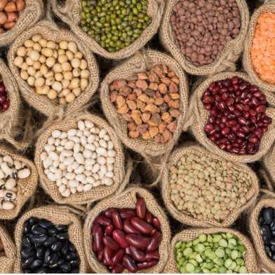 grains and legumes