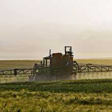 https://agrarpolitik-blog.com/2020/09/26/webinar-zum-thema-pathways-for-advancing-pesticide-policies/
