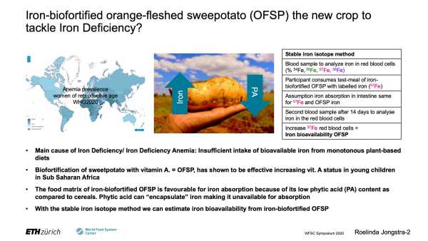 Iron bioavailability from iron-biofortified orange-fleshed sweetpotato: A stable isotope study in Malawian women