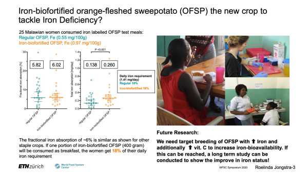 Iron bioavailability from iron-biofortified orange-fleshed sweetpotato: A stable isotope study in Malawian women