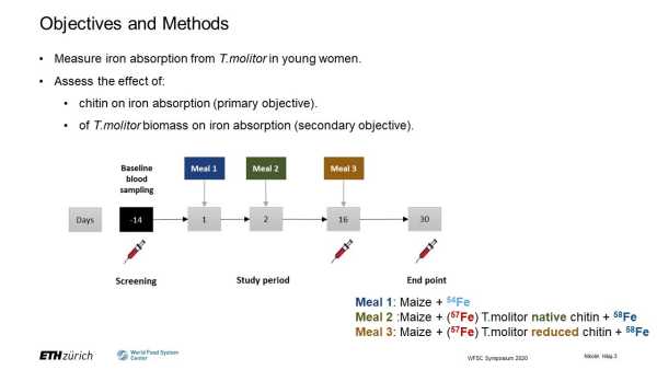 Measuring dietary iron absorption from mealworms (Tenebrio molitor) in young women and assessing the effect of chitin on iron bioavailability: a stable isotope study