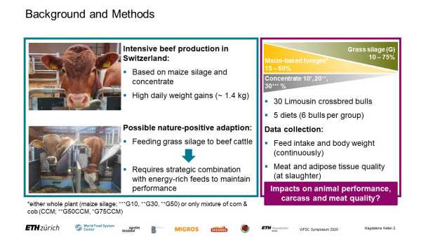 Reducing feed-food competition by using elevated proportions of grass silage in intensive beef production: effects of complementation with maize silage or corn-cob mix