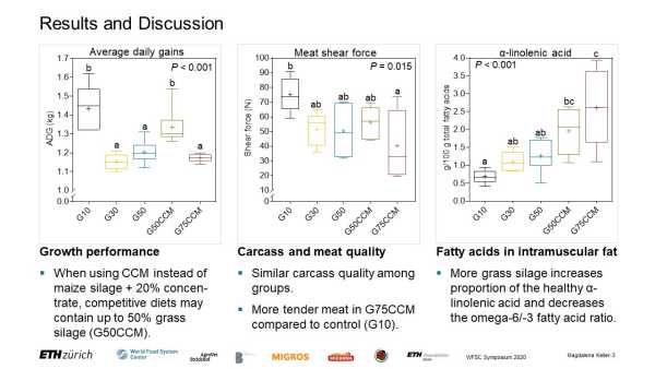 Reducing feed-food competition by using elevated proportions of grass silage in intensive beef production: effects of complementation with maize silage or corn-cob mix