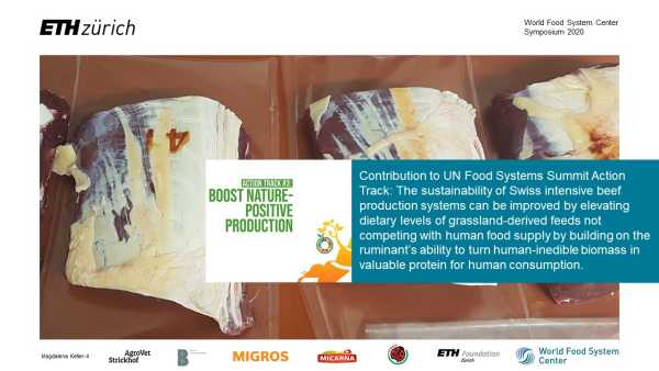 Reducing feed-food competition by using elevated proportions of grass silage in intensive beef production: effects of complementation with maize silage or corn-cob mix