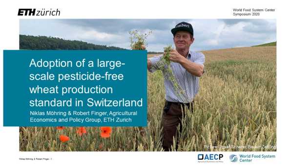 Pesticide load and agricultural productivity: the case of Swiss winter wheat producers