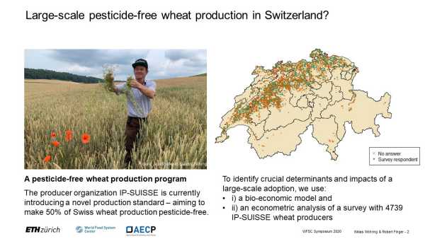 Pesticide load and agricultural productivity: the case of Swiss winter wheat producers