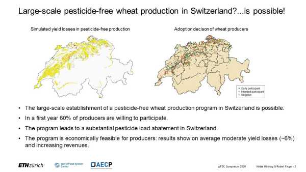 Pesticide load and agricultural productivity: the case of Swiss winter wheat producers