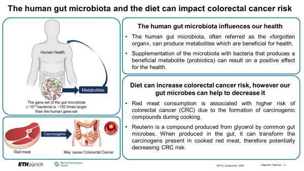 Potential and manipulation of intestinal microbiota to produce reuterin and detoxify dietary carcinogens