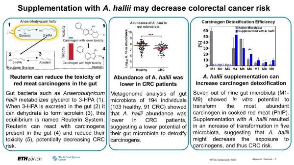 Potential and manipulation of intestinal microbiota to produce reuterin and detoxify dietary carcinogens