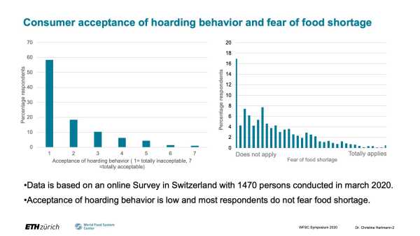 Food shopping and panic buying in the time of COVID-19 pandemic