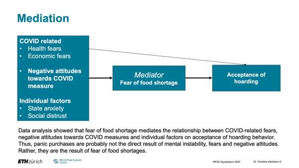 Food shopping and panic buying in the time of COVID-19 pandemic