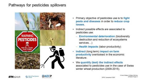 Pesticide load and agricultural productivity: the case of Swiss winter wheat producers