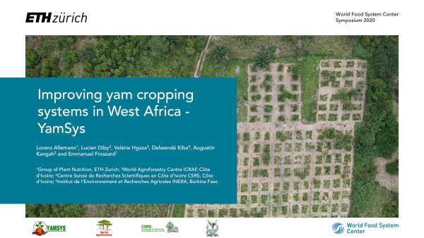 Improving yam cropping systems in West Africa - YamSys