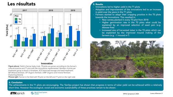 Improving yam cropping systems in West Africa - YamSys