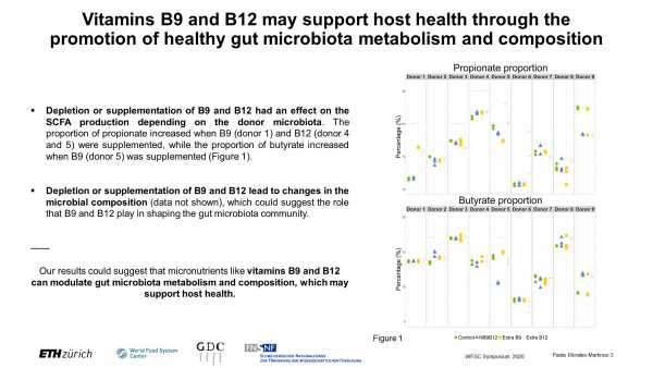 Effect of the supplementation of vitamin B9 and B12 on the human gut microbiota