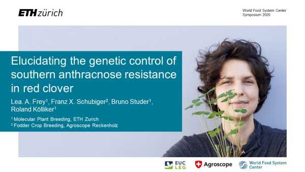 Elucidating the genetic control of southern anthracnose resistance in a diverse set of red clover accessions