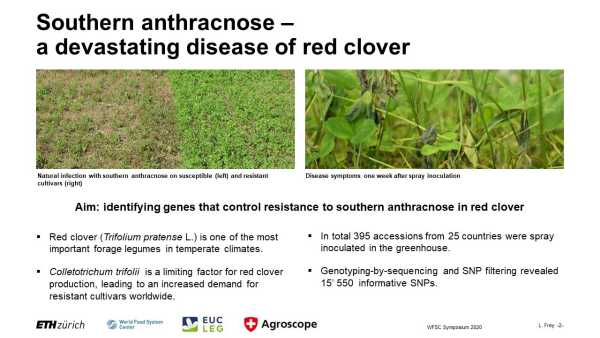 Elucidating the genetic control of southern anthracnose resistance in a diverse set of red clover accessions