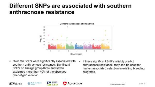 Elucidating the genetic control of southern anthracnose resistance in a diverse set of red clover accessions