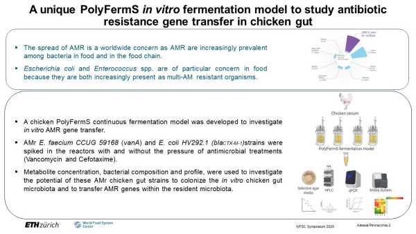 An in vitro continuous fermentation model to investigate horizontal gene transfer in the chicken gut microbiota