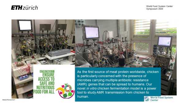 An in vitro continuous fermentation model to investigate horizontal gene transfer in the chicken gut microbiota