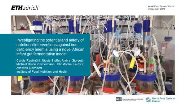 Investigating the potential and safety of nutritional interventions against iron deficiency anemia using a novel African infant gut fermentation model