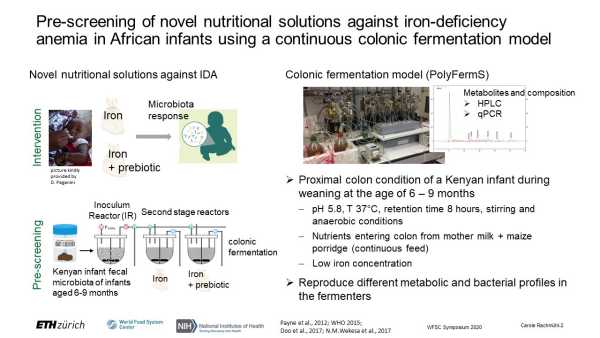 Investigating the potential and safety of nutritional interventions against iron deficiency anemia using a novel African infant gut fermentation model