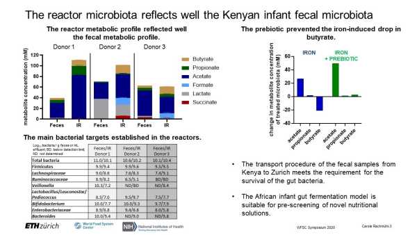 Investigating the potential and safety of nutritional interventions against iron deficiency anemia using a novel African infant gut fermentation model