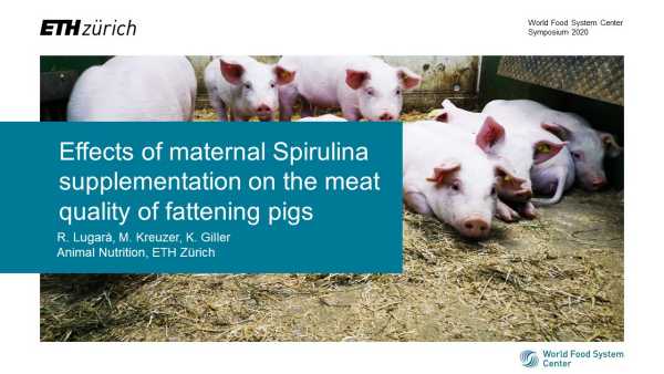 Effects of maternal Spirulina supplementation on the meat quality of fattening pigs