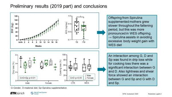 Effects of maternal Spirulina supplementation on the meat quality of fattening pigs