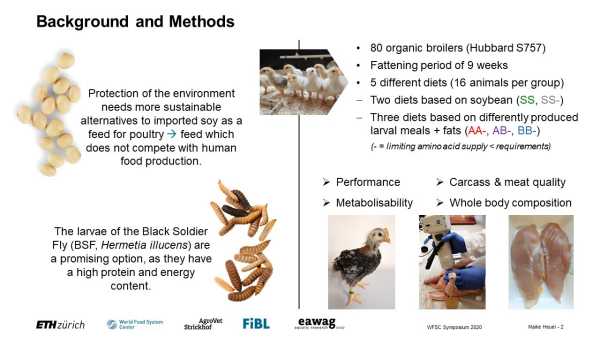 Can Black Soldier Fly larvae meal replace soybean meal as a protein source in broilers?