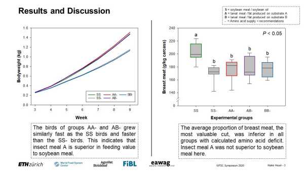 Can Black Soldier Fly larvae meal replace soybean meal as a protein source in broilers?