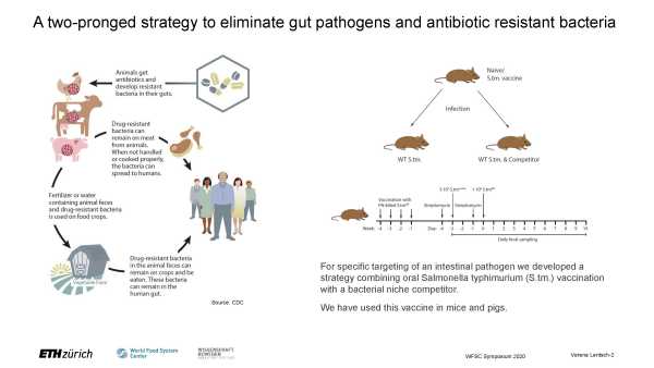 A combined approach of oral vaccination and bacterial competition eliminates gut pathogens in a targeted manner