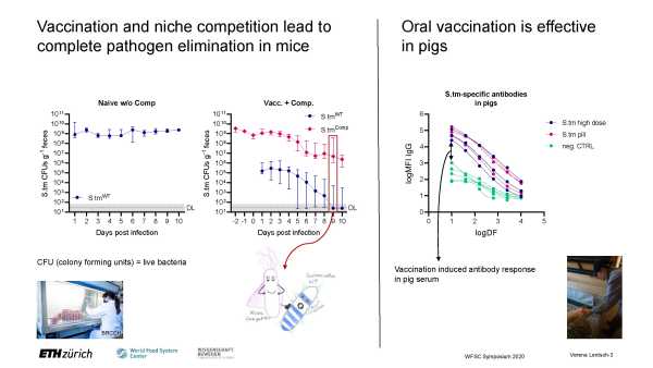 A combined approach of oral vaccination and bacterial competition eliminates gut pathogens in a targeted manner