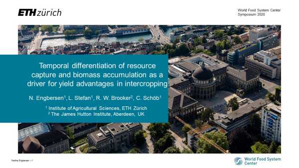 Temporal differentiation of resource capture and biomass accumulation as a driver for yield advantage in intercropping