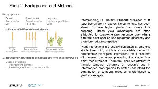 Temporal differentiation of resource capture and biomass accumulation as a driver for yield advantage in intercropping