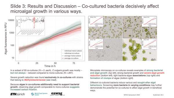 Food System Poster