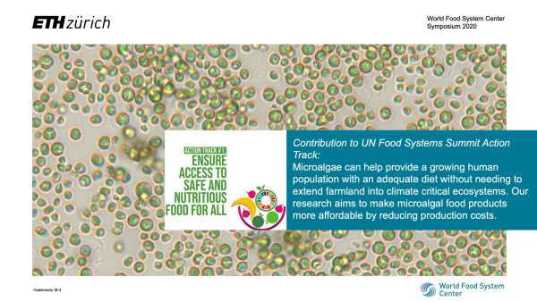 Food System Poster