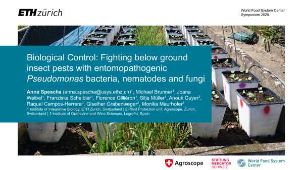 Biological Control: Fighting below ground insect pests with entomopathogenic Pseudomonas bacteria, nematodes and fungi