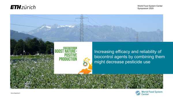 Biological Control: Fighting below ground insect pests with entomopathogenic Pseudomonas bacteria, nematodes and fungi