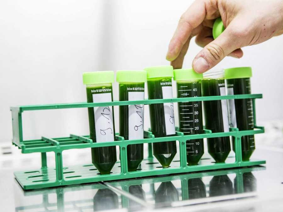 lab work