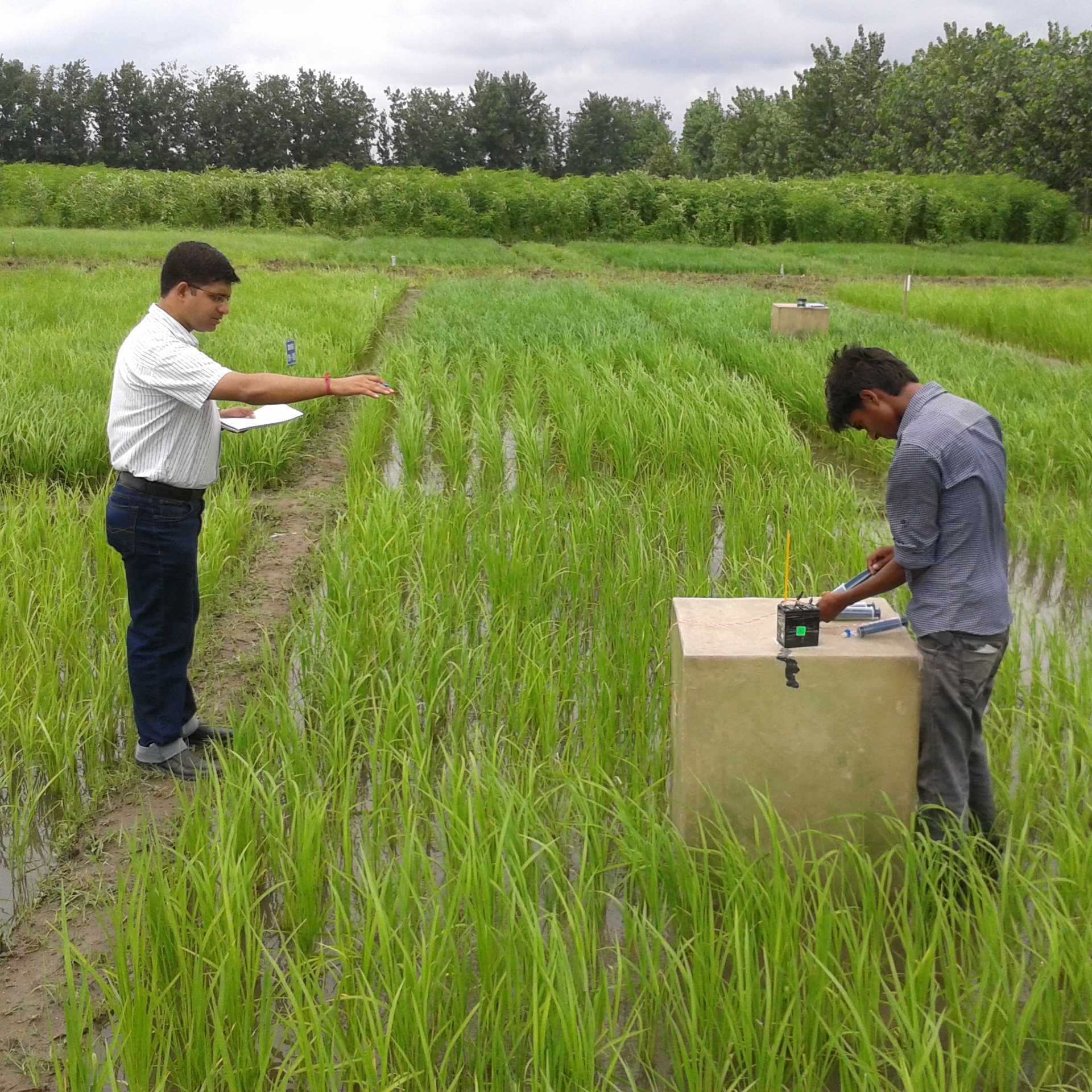 Sustainability in Food Value Chains - World Food System ...
