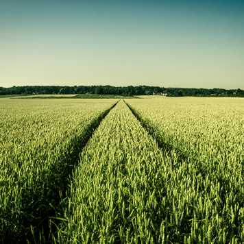 COlourbox field